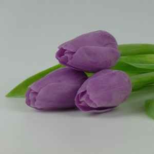 Francouzský umělý tulipán č. 05 – levandulový
