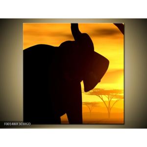 Obraz siluety slona (F001480F3030GD)