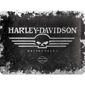 Postershop Plechová cedule - Harley-Davidson Skull 15x20 cm