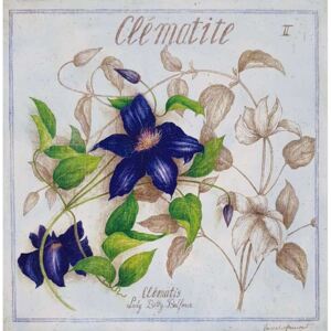ART-STYLE Obrázek 20x20, modré květy II., rám bílý s patinou