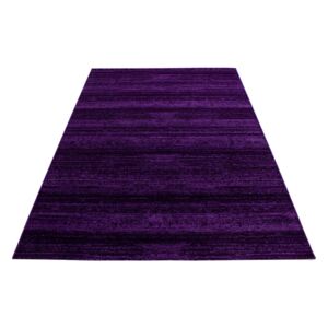 Ayyildiz Kusový koberec moderní Plus 8000 fialový jednobarevný 080x150 cm