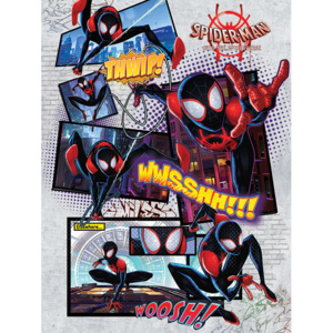 Obraz na plátně Spider-Man: Paralelní světy - Comic, (60 x 80 cm)