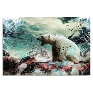 Obraz CARO - White Bear 100x70 cm