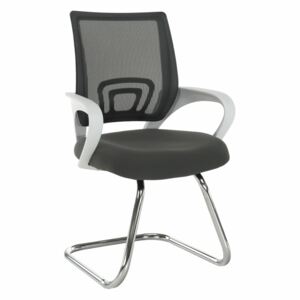 Konferenční židle SANAZ TYP 3 šedá / bílá / chrom Tempo Kondela