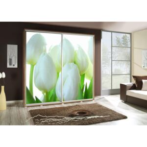 Maridex Šatní skříň Penelopa 2 Tulipány Barva: Bílá, Šířka: 205 cm