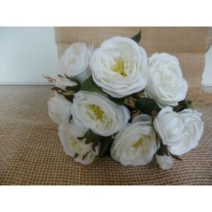 Anglická růže bílá