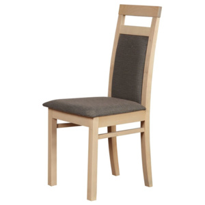 Minimalistická jídelní židle Alvita