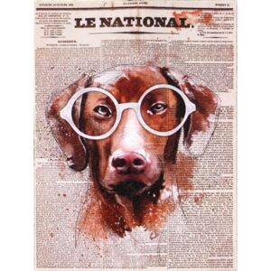 Obraz na plátně - Le National (pes)