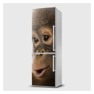 Fototapeta samolepící na lednice - Opice