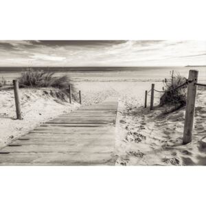 Postershop Fototapeta: Pláž (černobílá) - 184x254 cm