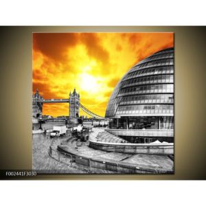 Obraz šedobílého Londýna (F002441F3030)