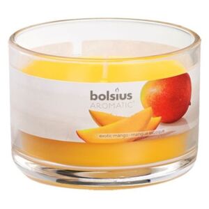 Bolsius Aromatic Sklo 90x65 Exotic Mango vonná svíčka