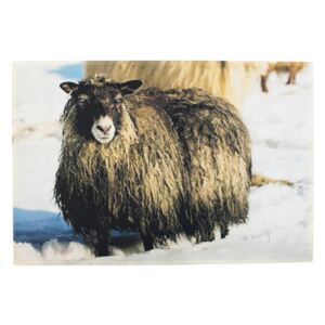 Rohožka ke dveřím Islandská ovce - 75*50*1cm