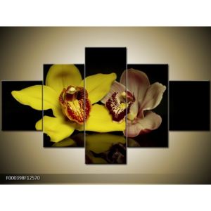 Obraz květů orchidejí (F000398F12570)