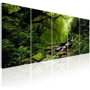 Obraz Lesní potok + háčky a hřebíčky ZDARMA Velikost (šířka x výška): 200x80 cm