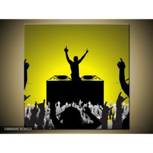 Moderní obraz - DJ (F000044F3030GD)