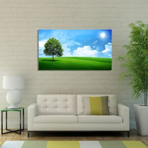 Obraz - strom na poli s modrou oblohou plátno na podrámku 50 x 50 cm