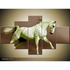 Obraz zeleného koně (F003682F12570)