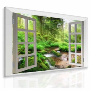InSmile ® 3D obraz okno do lesa Velikost (šířka x výška): 120x110 cm