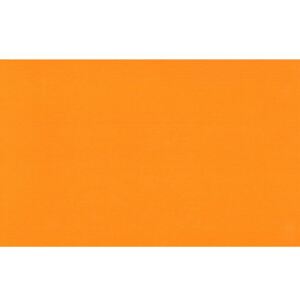 EBS Fresh obklad 25x40 naranja