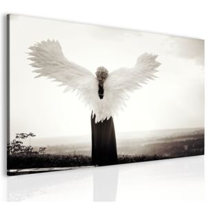 Obraz andělská křídla + háčky, hřebíčky, čistící hadřík ZDARMA Velikost (šířka x výška): 60x40 cm
