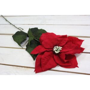 Vánoční květ - červený (v. 70 cm) velikost
