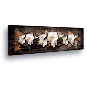 Obraz na plátně - Bílá Květinová Dekorace v Šedo-hnědém Pozadí II 45x145 cm