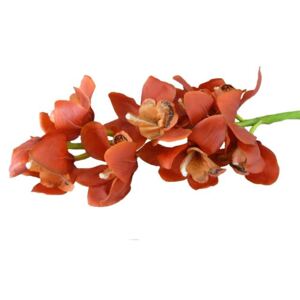 Orchidej Cymbidium - červená