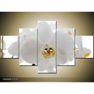 Obraz květu orchideje (F000404F12570)