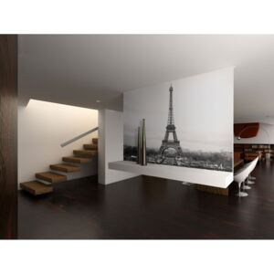 Fototapeta Paříž černobílá + lepidlo ZDARMA Velikost (šířka x výška): 150x116 cm