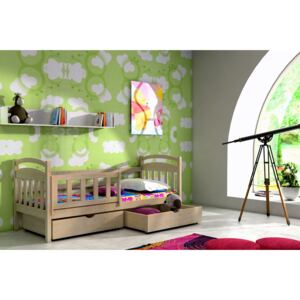 Dětská postel DP 001 + zásuvky 200 cm x 90 cm moření olše
