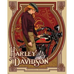 Plechová cedule Harley Davidson V
