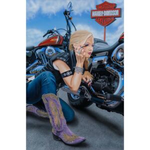 Plechová cedule Harley Davidson IV