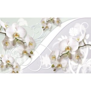 Postershop Fototapeta: Bílá orchidej (vzor) - 184x254 cm