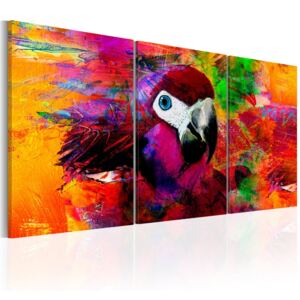 Obraz na plátně Bimago - Jungle of Colours 120x60 cm