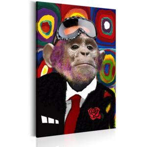 Obraz na plátně Bimago - Mr. Monkey 60x90 cm
