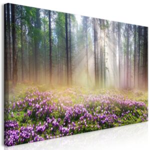Obraz na plátně Bimago - Purple Meadow (1 Part) Wide 70x35 cm