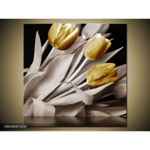 Obraz zlatých květů tulipánů (F002484F3030)