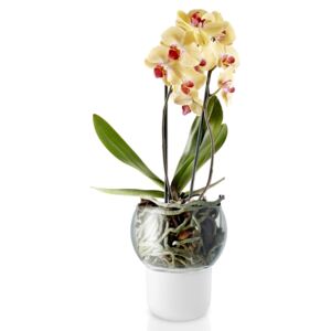 Samozavlažovací skleněný květináč na orchidej průměr 15cm, eva solo
