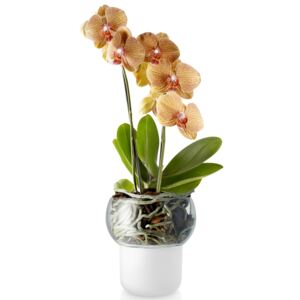 Samozavlažovací skleněný květináč na orchidej průměr 13cm, eva solo