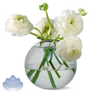 Skleněná váza Philippi Globo + video