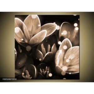 Černobílý obraz květů (F005046F3030)