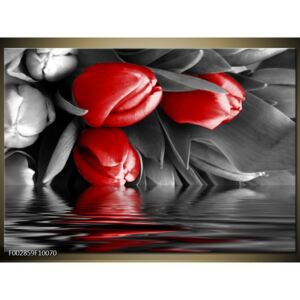Obraz Tulipány na vodě - červená