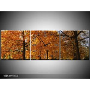 Krásný obraz podzimní aleje (F001430F9030CC)