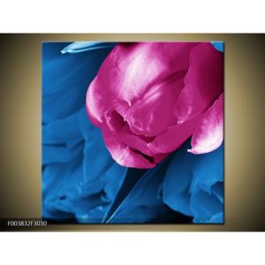 Obraz růžového květu (F003832F3030)