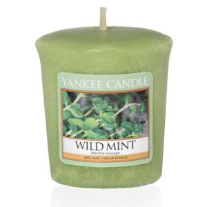 Yankee Candle - votivní svíčka Wild Mint 49g (Čerstvě utržené lístky máty, zcela autentická mátová vůně, svěží a chladivá.)