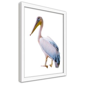 CARO Obraz v rámu - Pelican 30x40 cm Bílá