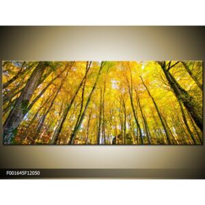 Obraz na plátně Podzimní les, Tvar obrazu a rozměr Obdélník 120x50cm 1689 Kč