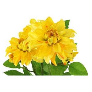 Autronic Umělá květina Jiřinka, barva žlutá