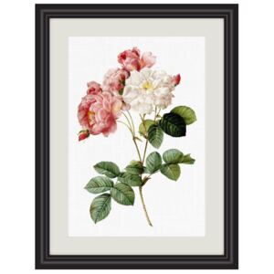 Obrázek damašské růže A4 (210 x 297 mm): A4
